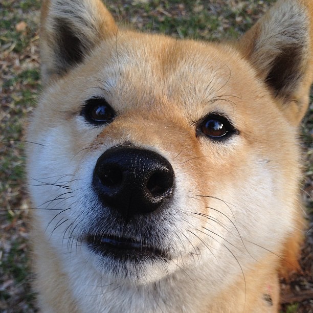 “史上最帅！明星球员最迷人瞬间”，球星最帅的10张图片