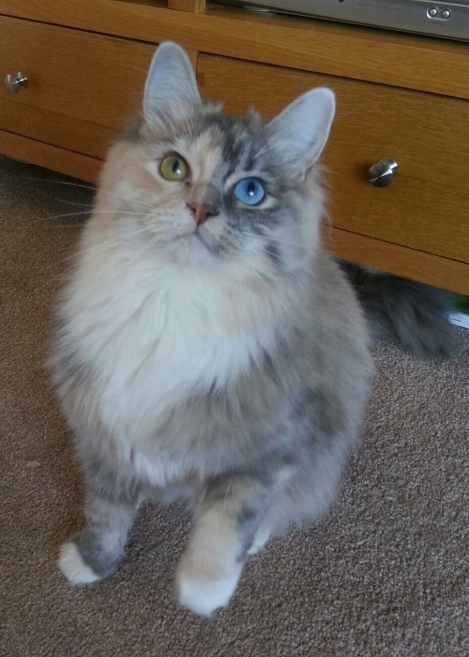 开云体育下载网页版-特色篮球文化在中小学校普及率不断提升，青少年受益匪浅，全国校园篮球特色学校好处