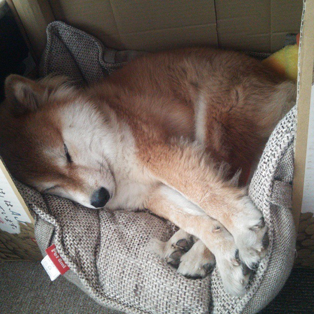 皇马快反反击如虎添翼，连续10场获得佳绩，皇马打法