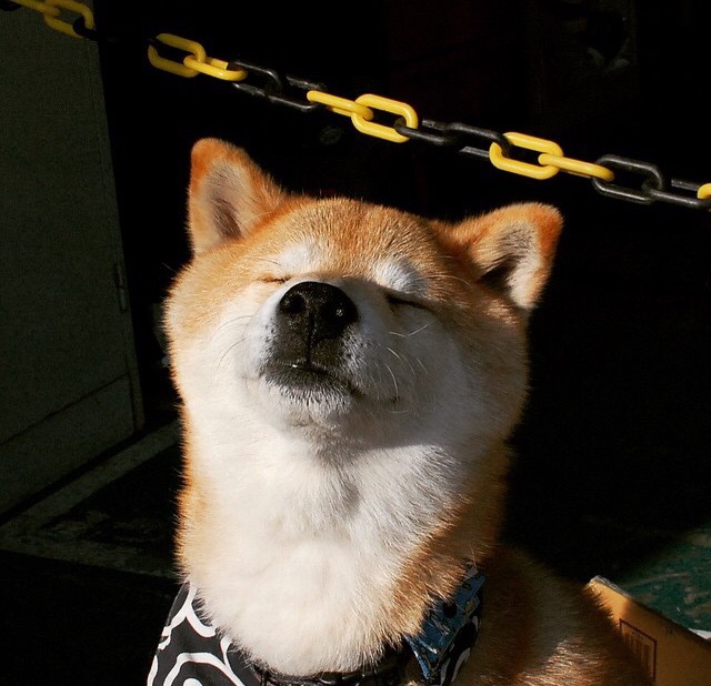 开云体育官方app-英超：利物浦2-2战平阿斯顿维拉，萨拉赫和奥巴梅杨各进一球，利物浦官方宣布与萨拉赫续约