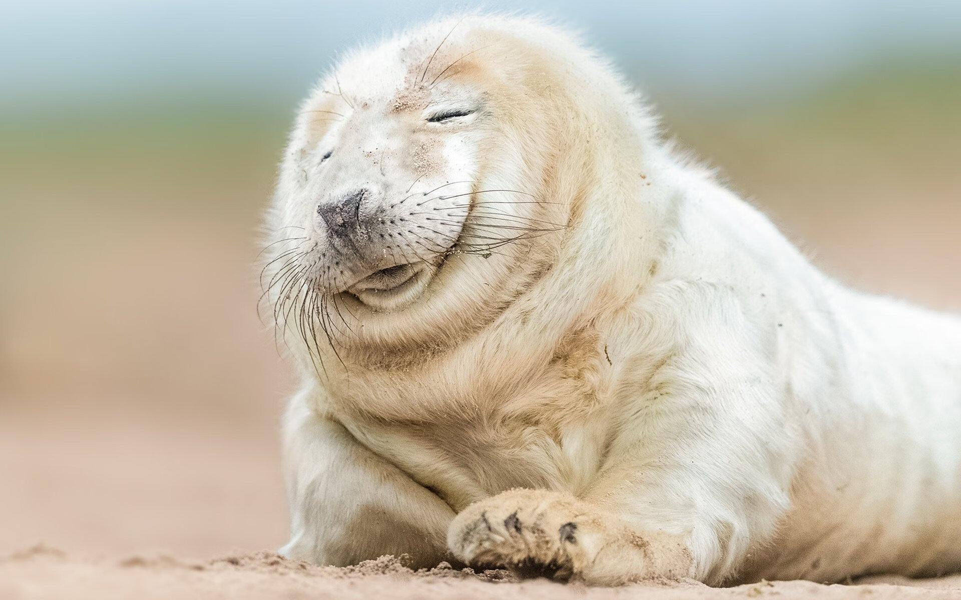 开云在线-李佳蔓在射箭世界杯韩国站获得女子反曲弓团体冠军，全运会女子射箭李佳蔓