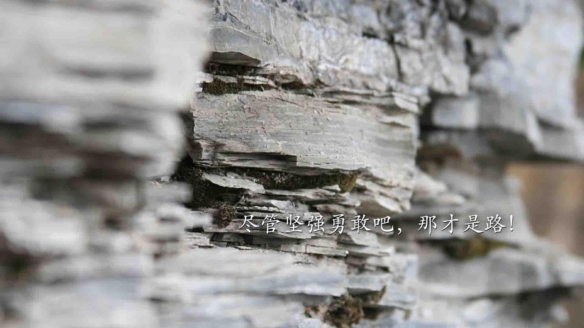 世界田径大赛百米决赛精彩纷呈，世界田径比赛100米