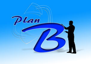 开云体育平台APP-中国篮球职业俱乐部财务风险控制研究，篮球俱乐部企业组织结构图