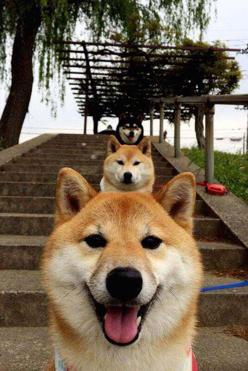 高校体育场馆运营效率提升策略,高校体育场馆如何运营和管理