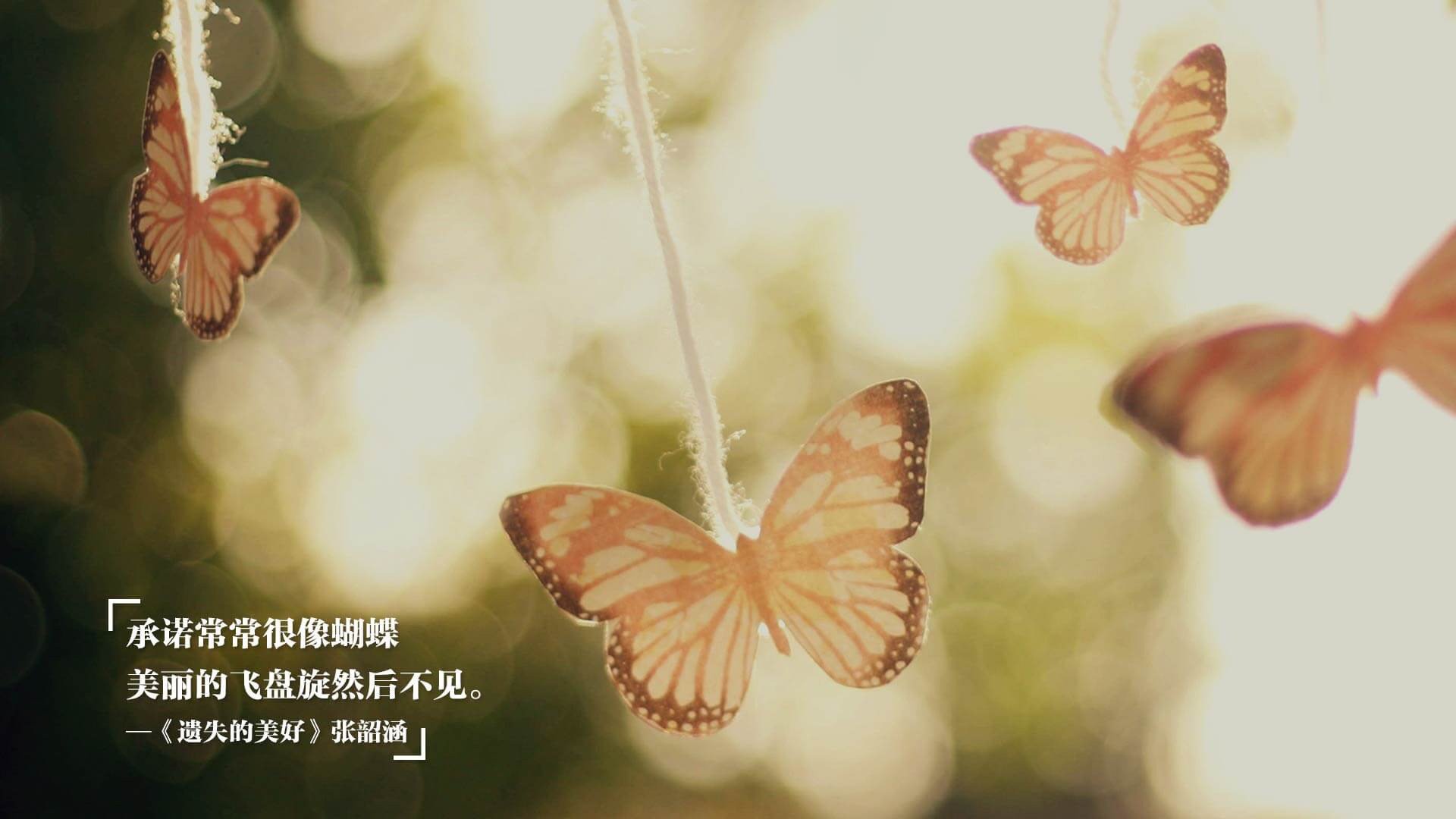 国际热身赛中国青年队复仇 球迷热议不断,国家队热身赛